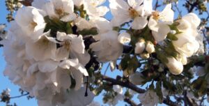 Iskolai étkezés – április